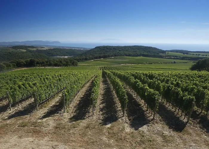 Il Castelluccio - By Bolgheri Holiday